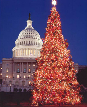 It’s Christmas Time in the Capitol
