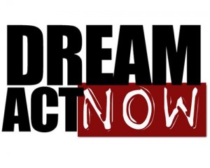 dream act now boxes