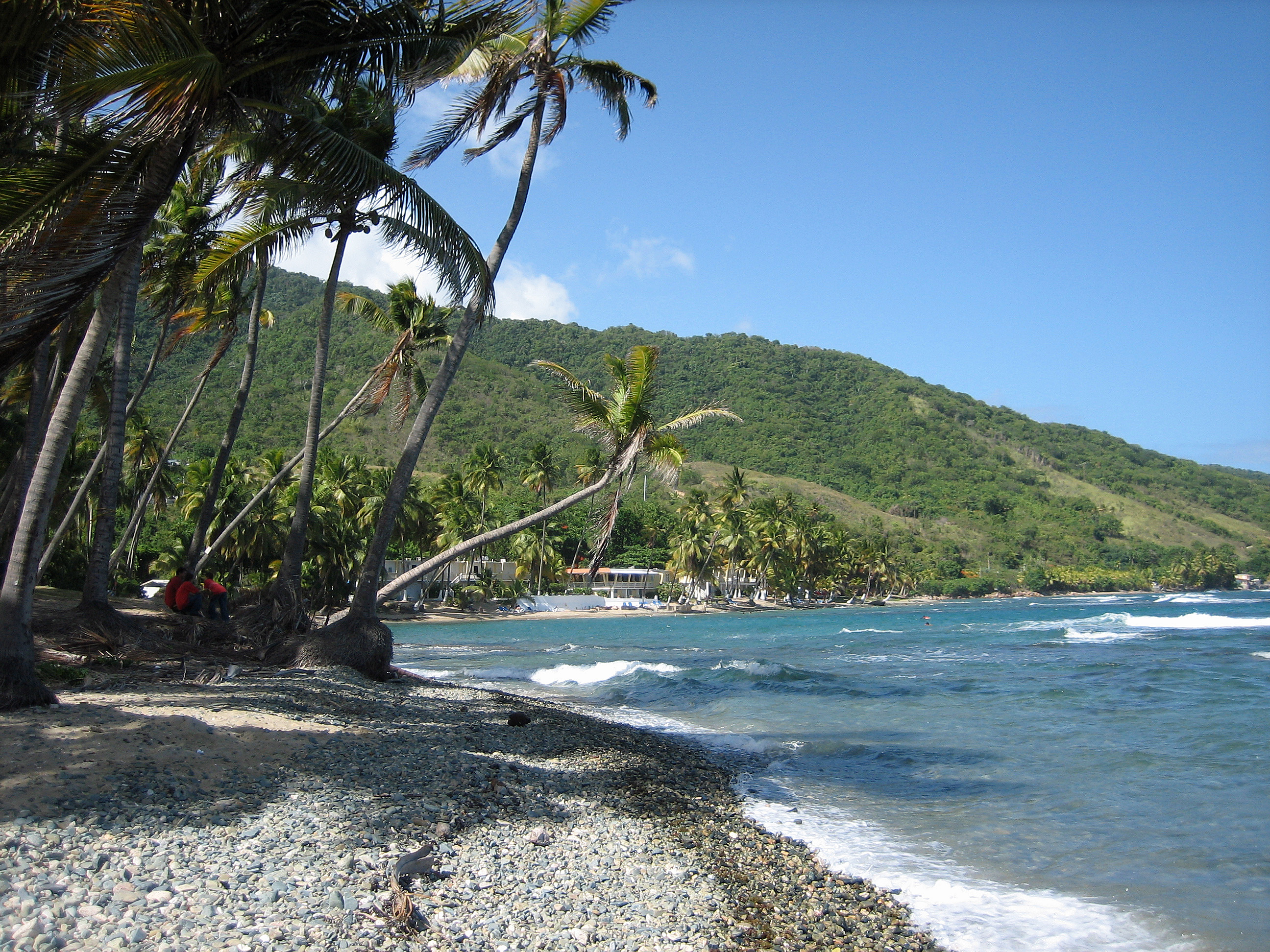 By Oquendo from Freeport, NY - Patillas, Puerto Rico, CC BY 2.0, https://commons.wikimedia.org/w/index.php?curid=6556455